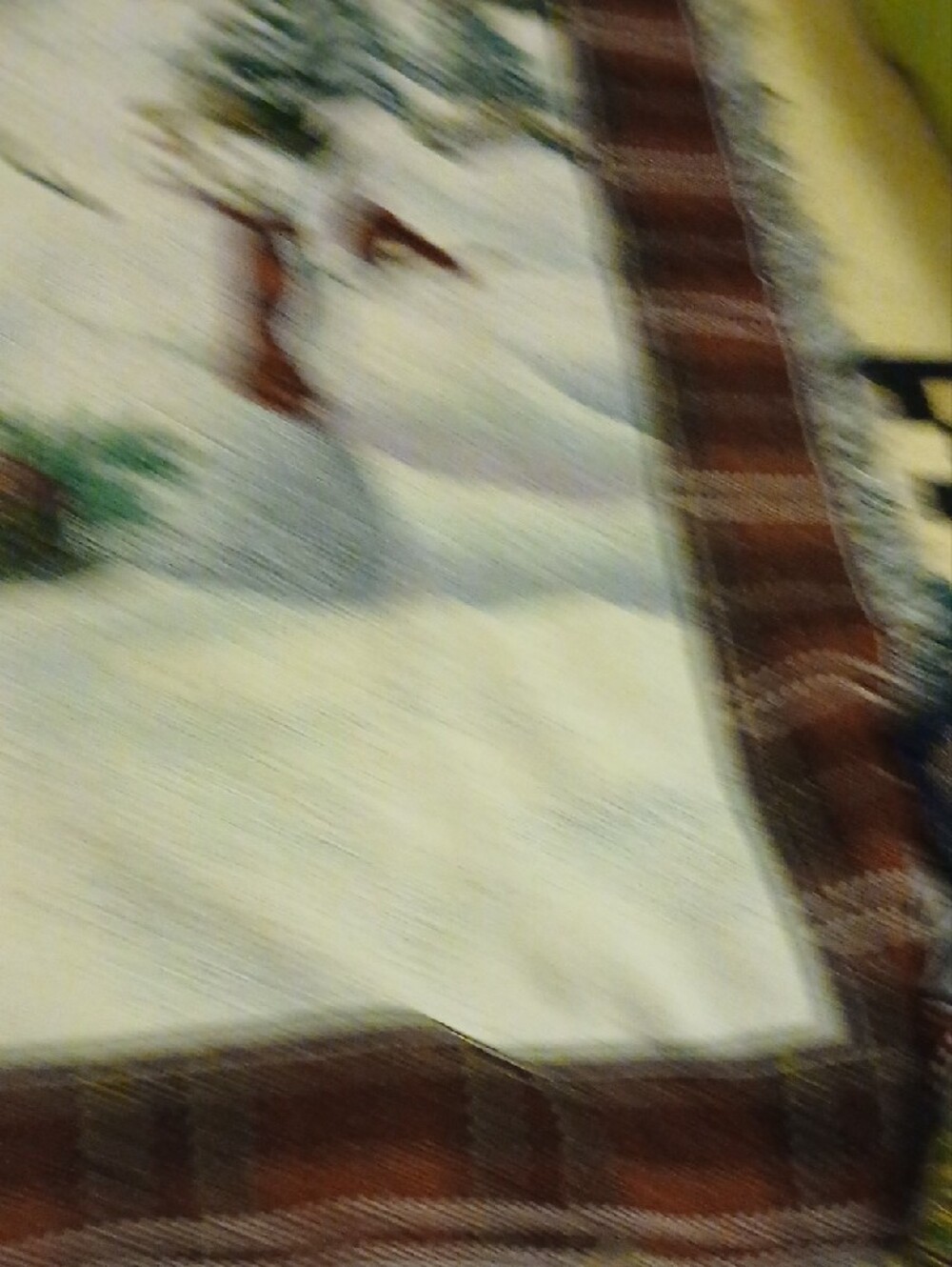 Holiday Winter Scene Decorative Throw Blanket - Green/White - Picture 5 of 6